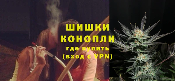 прущие грибы Навашино