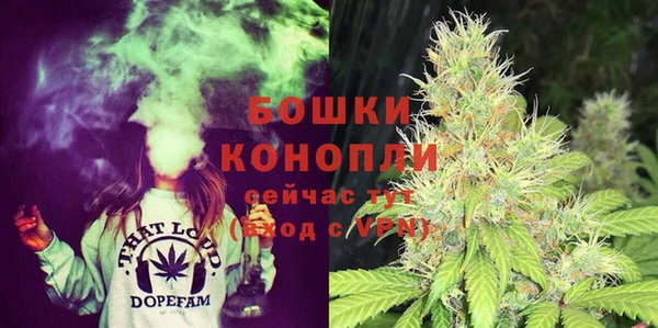 прущие грибы Навашино