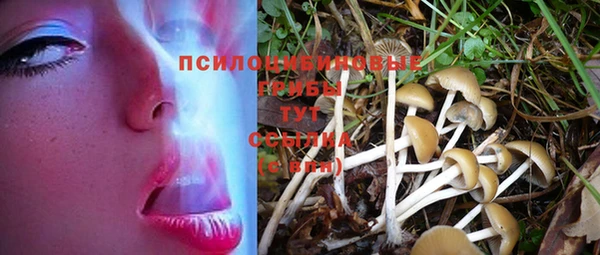 герыч Наволоки