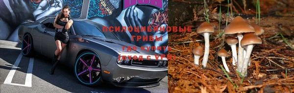крисы Абинск