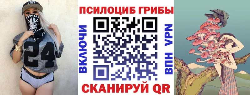 закладки  Новая Усмань  Галлюциногенные грибы мухоморы 